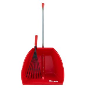 Big Tidee with Plastic Rake